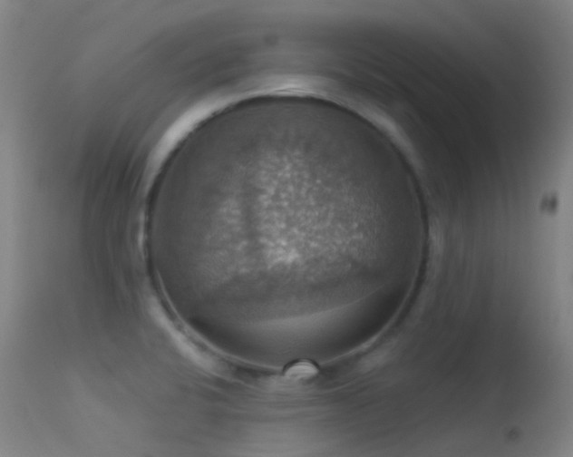 X0000113231424200909171528