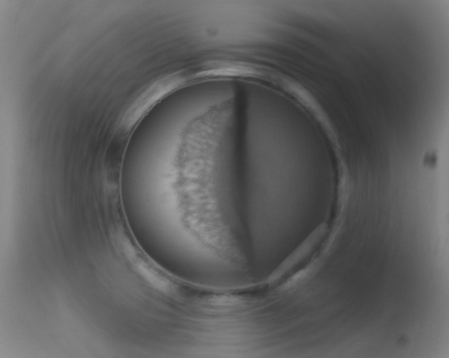 X0000113231425200909171528