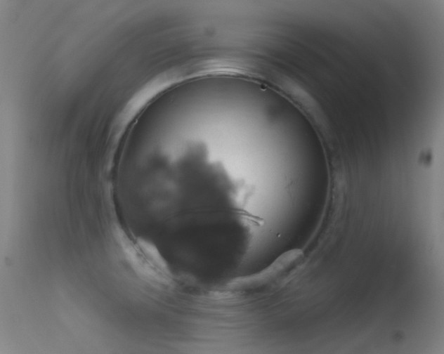 X0000113231427200909171528
