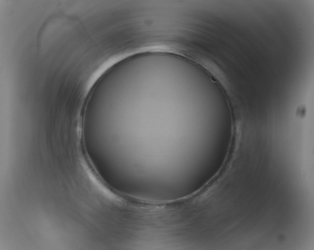 X0000113231428200909171528