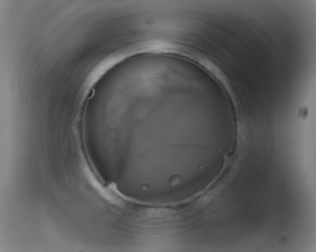 X0000113231429200909171528