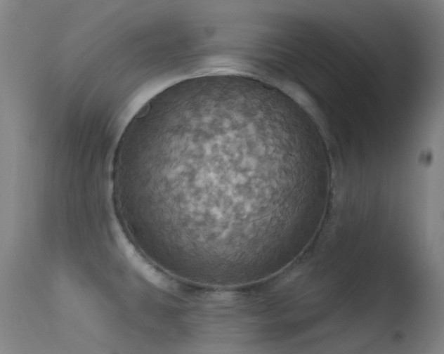 X0000113231431200909171528
