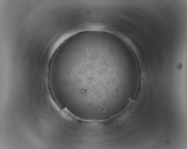 X0000113231432200909171528