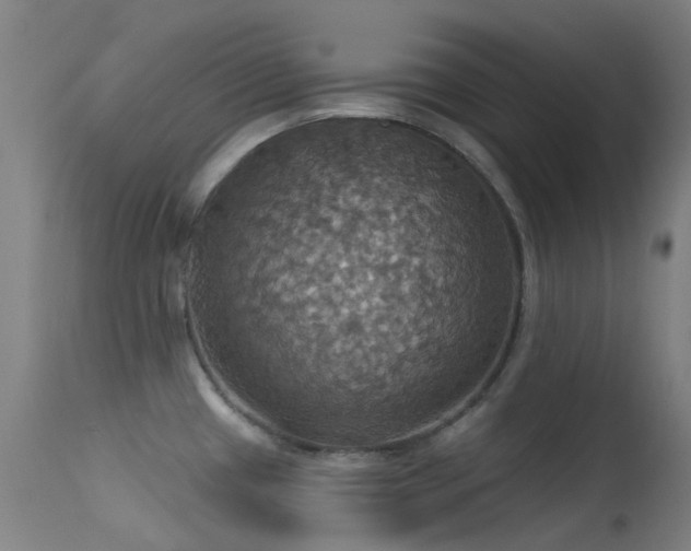 X0000113231433200909171528