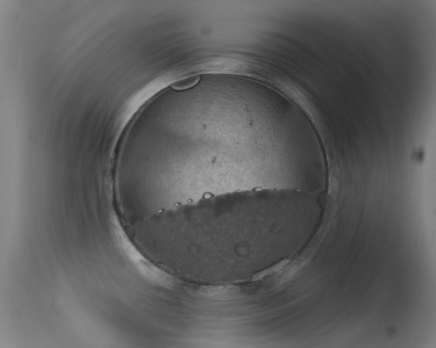 X0000113231434200909171528