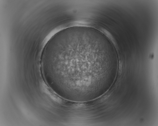 X0000113231435200909171528