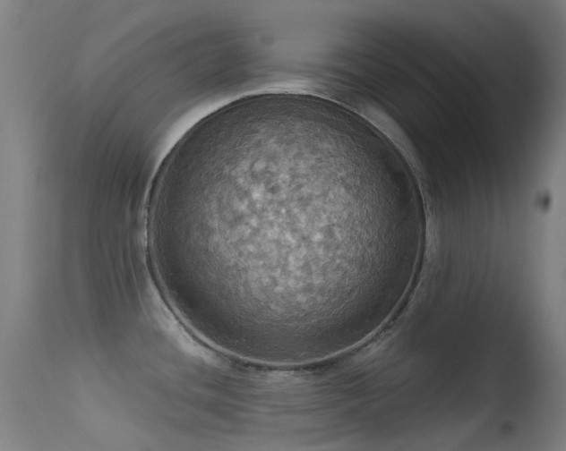 X0000113231436200909171528