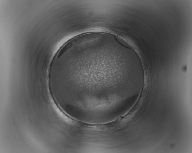 X0000113231438200909171528