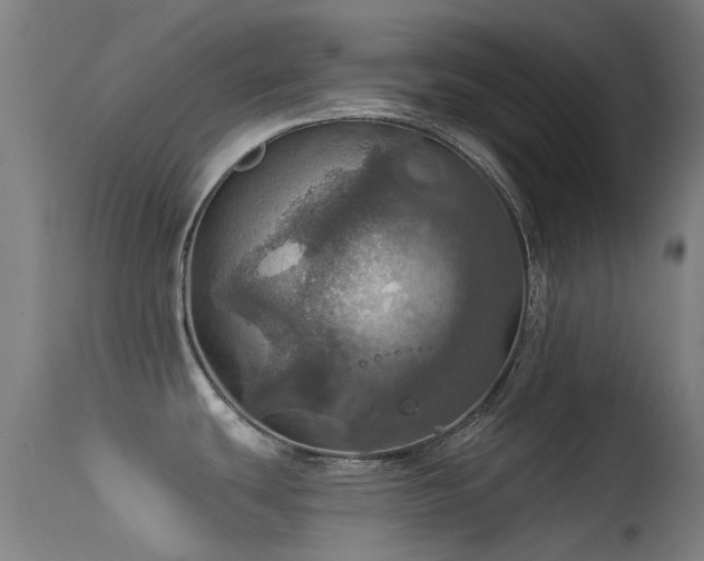 X0000113231439200909171528