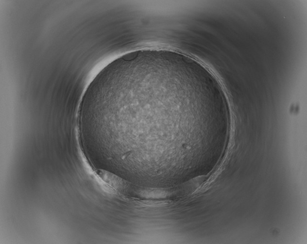 X0000113231440200909171528