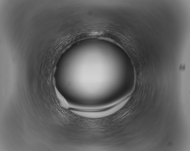 X0000113231441200909171528
