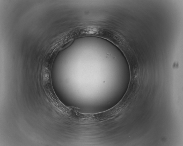 X0000113231442200909171528