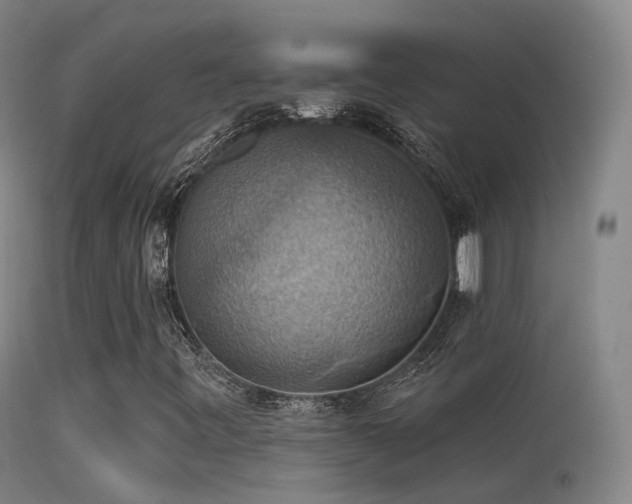 X0000113231443200909171528