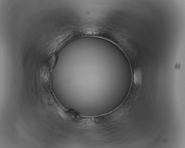 X0000113231444200909171528