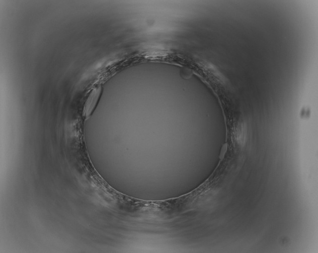 X0000113231445200909171528