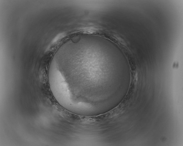 X0000113231446200909171528