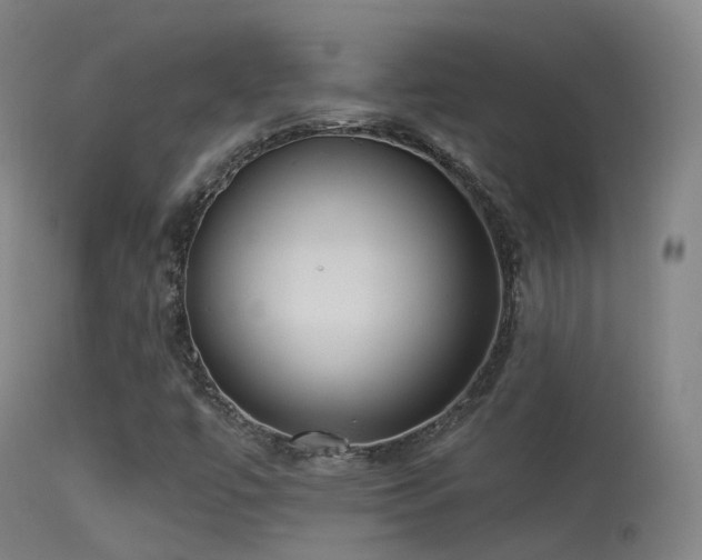 X0000113231447200909171528