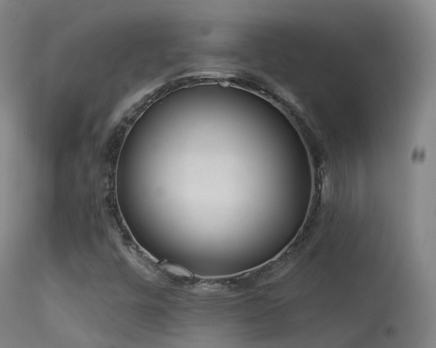 X0000113231448200909171528