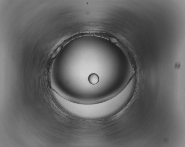 X0000113231449200909171528