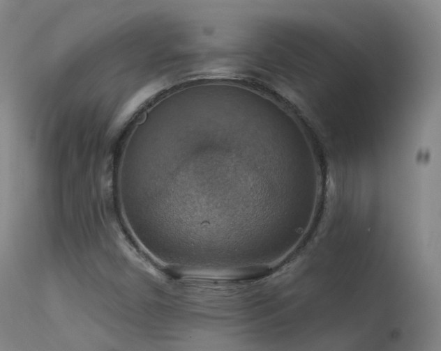 X0000113231450200909171528