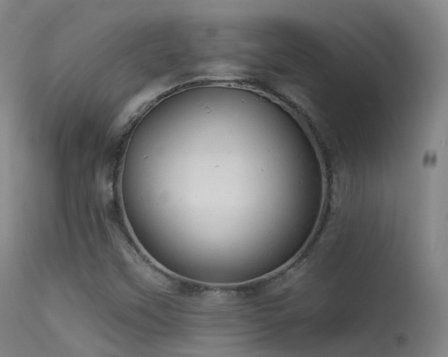 X0000113231451200909171528