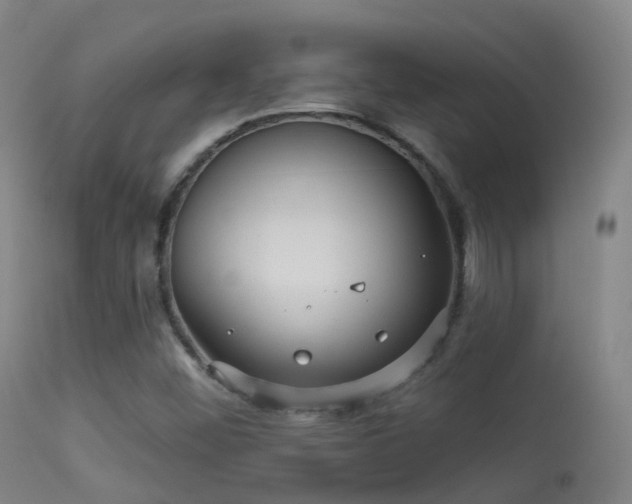 X0000113231452200909171528
