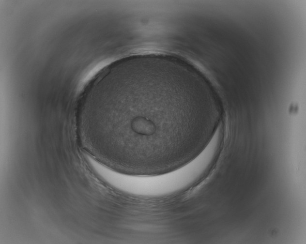 X0000113231453200909171527