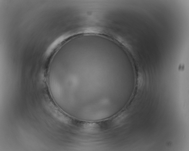 X0000113231454200909171527