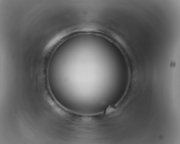 X0000113231456200909171527