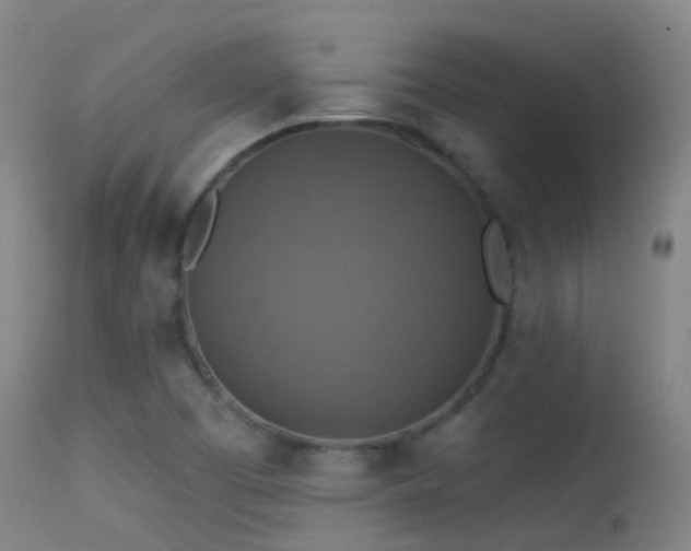 X0000113231457200909171527