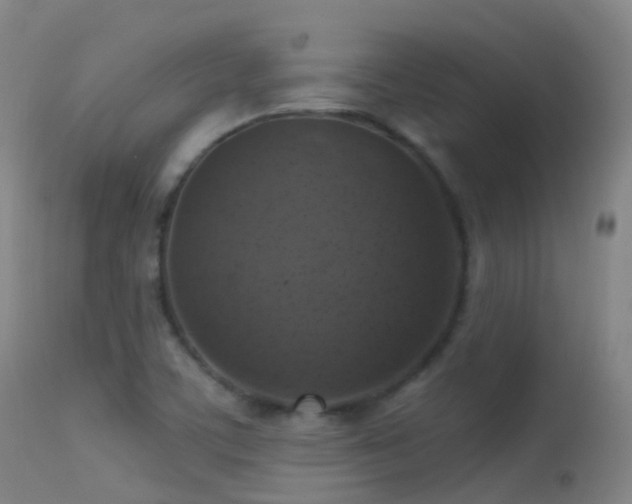 X0000113231459200909171527