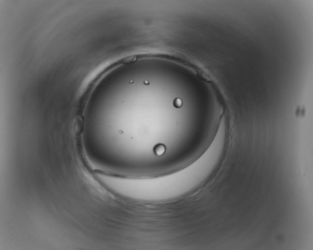 X0000113231460200909171527