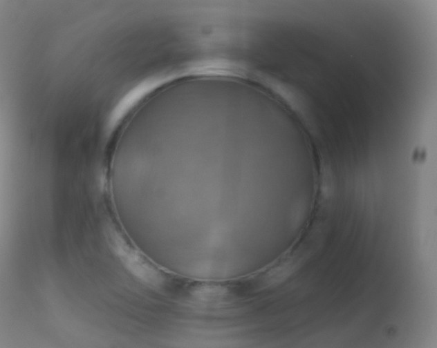 X0000113231462200909171527