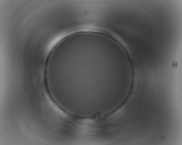 X0000113231463200909171527