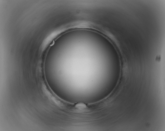 X0000113231464200909171527