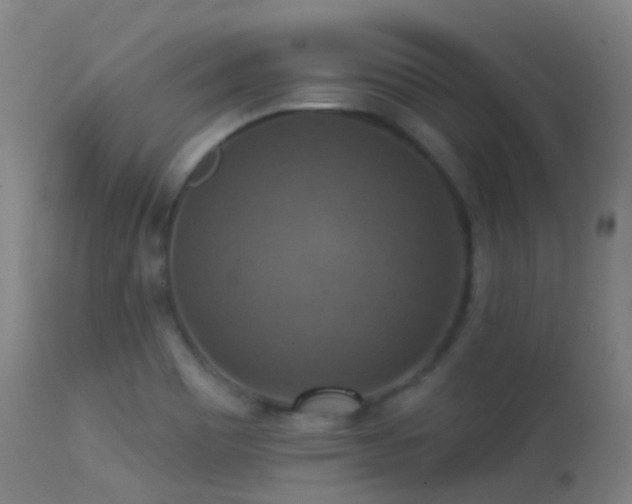 X0000113231465200909171527