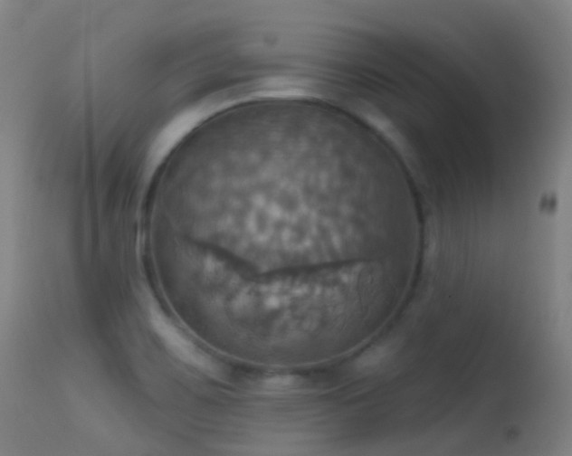 X0000113231467200909171527