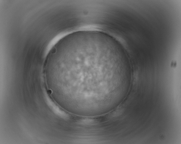 X0000113231470200909171527