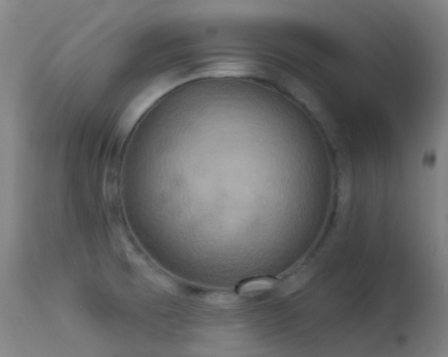 X0000113231473200909171527