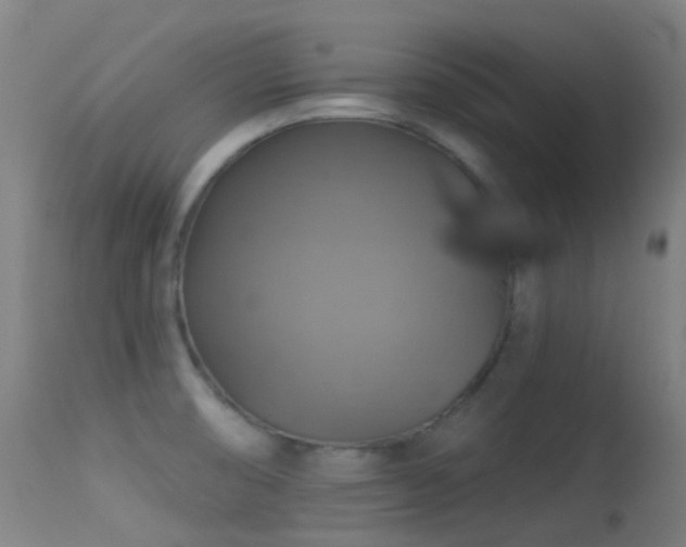 X0000113231474200909171527