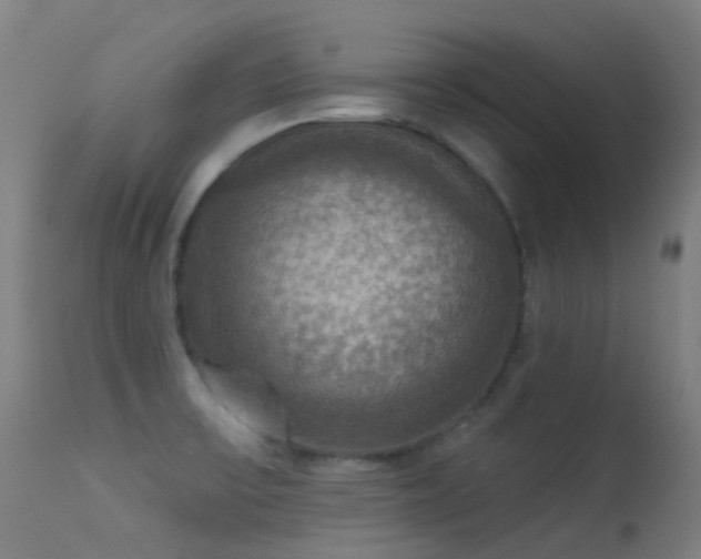 X0000113231475200909171527