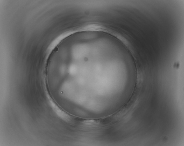 X0000113231478200909171527