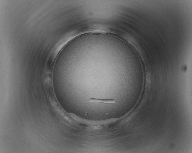 X0000113231481200909171527