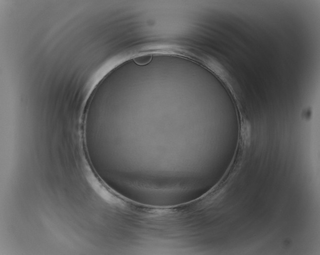 X0000113231482200909171527