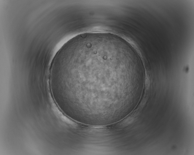 X0000113231486200909171527