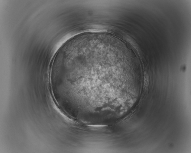 X0000113231487200909171527