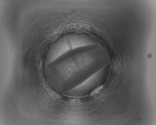 X0000113231489200909171526