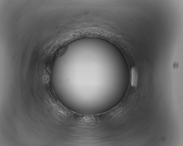 X0000113231491200909171526