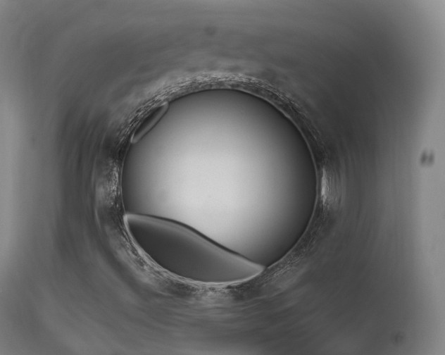 X0000113231492200909171526