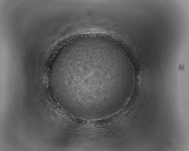 X0000113231493200909171526